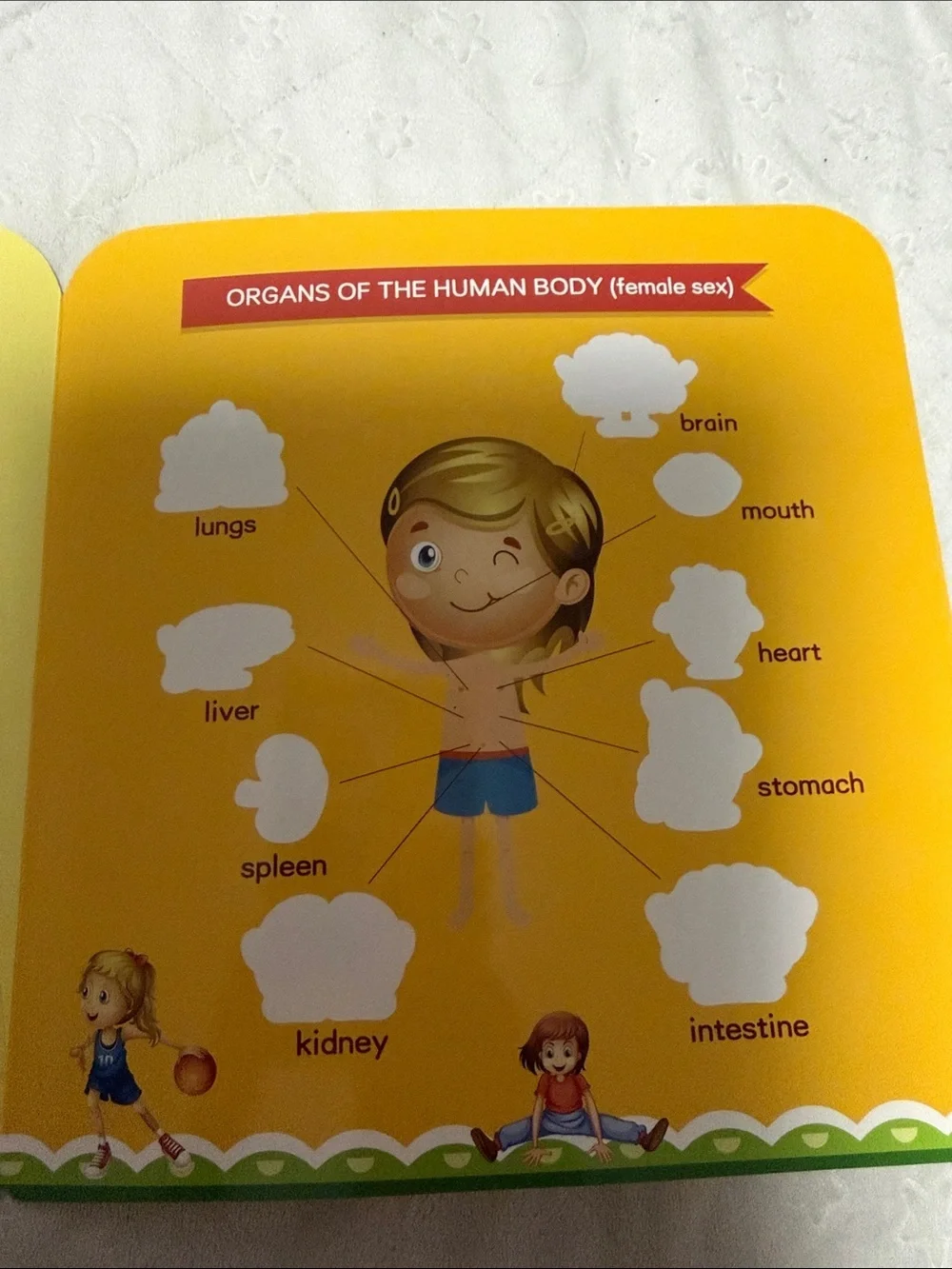 My Body! Kids Educational Sticker Book - Orange